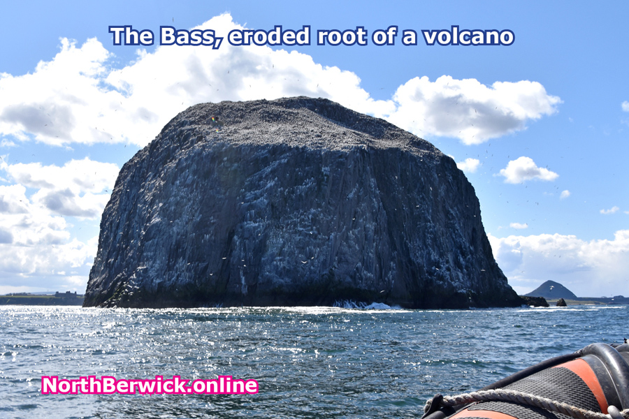 Geology - The Bass Rock in the Firth of Forth