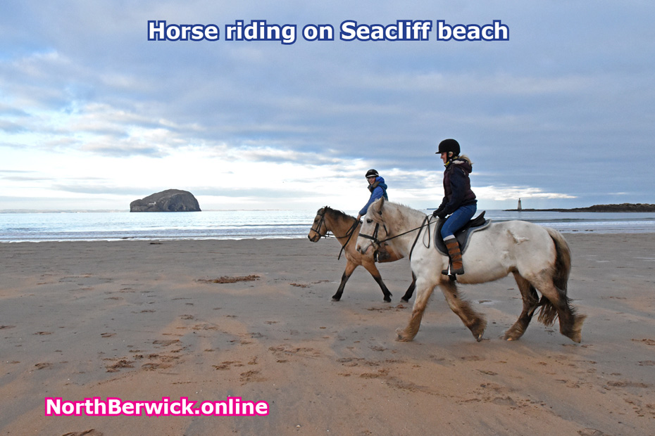 Horse ridibg on Seacliff Beach 3 miles east of North Berwick